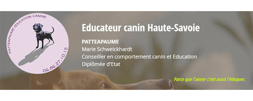 Logo de l'Educateur canin Patteapaume partenaire des Les Can'ins, situé en Auvergne Rhône Alpes dans l’Isère 38 à Arandon, est le spécialiste en éducation canine. Dog et Car sitter, elle s'occupe de la promenade de vos chiens et la visite d'animaux à domicile pendant vos absences.
